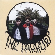 PARROTS, THE - Loving You Is Hard / I Am A Man
